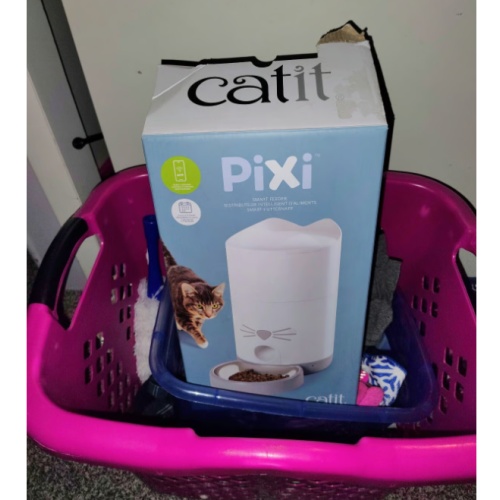 Pixi self feeding cat bowl